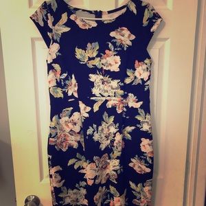 Carry Maternity dress